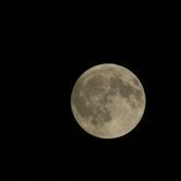 Sabato 3 marzo 2018 - Escursioni al Chiaro di luna 