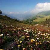 9 luglio: Alpinte, pareti, imprese