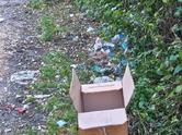 Inquinamento da microplastiche: una questione da risolvere