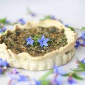Sabato 28 luglio - Pragelato "Gastronomia selvatica: fitoalimurgia delle nostre valli"