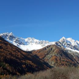 Zone Speciali di Conservazione