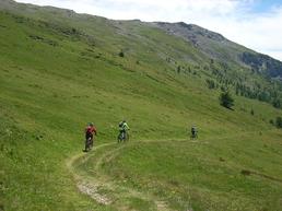 In bici nei Parchi Alpi Cozie