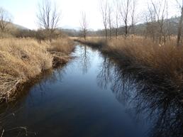 Il canale della Naviglia nel Parco naturale dei Laghi di Avigliana