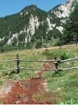 Zona Speciale di Conservazione IT1110031 Val Thuras