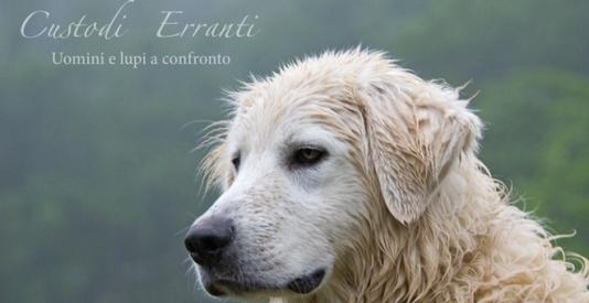 cUSTODI ERRANTI. uOMINI E LUPI A CONFRONTO