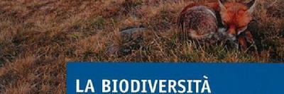 Dal 25 luglio al 25 agosto a Salbertrand Mostra "La biodiversità delle praterie alpine nelle Alpi occidentali"