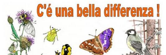 Sabato 29 giugno a Roure "C'è una bella differenza"