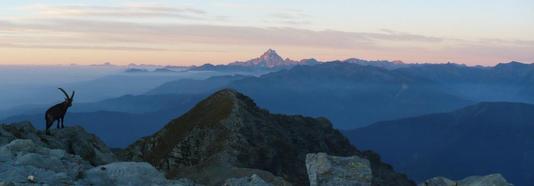 Ritorna il Trekking Parchi Alpi Cozie 