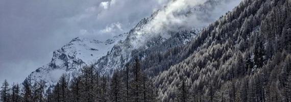 Neve nel Parco naturale Val Troncea: Foto Silvia AlbertiParco naturale Val Troncea Foto Silvia Alberti