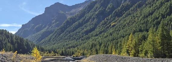 Autunno nel Parco naturale Val Troncea - Pragelato. Foto Silvia Alberti