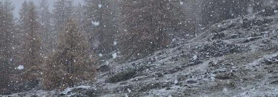 Neve nel Parco naturale Val Troncea: Foto Silvia AlbertiParco naturale Orsiera Rocciavré Foto Andrea Pane