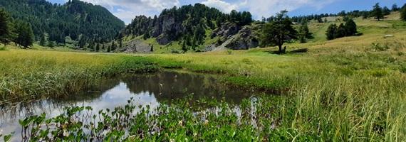 4 marzo 2026- San Giorio incontro tematico BiodivTourAlps: per sguardi e passi più consapevoli: Acqua, Cambiamenti climatici e AClimo - progetto trasfrontaliero