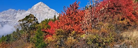 Autunno nelle ZSC gestite dai Parchi Alpi Cozie - Simona Molino