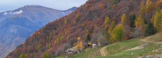Autunno al Colletto con vista sulla Val Chisone - Parco naturale Orsiera Rocciavré Foto Andrea Pane