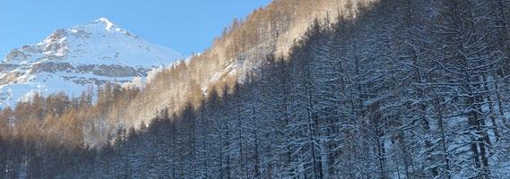 Primavera in Val Troncea - Foto Silvia Alberti