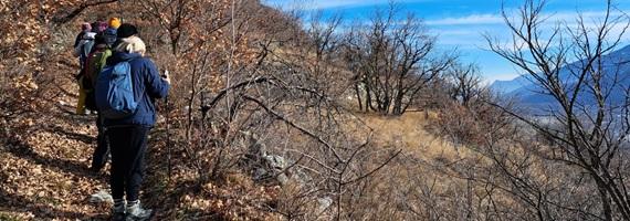 Escursione invernale nelle Oasi Xerotermiche della Valle di Susa - Mompantero