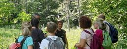Proposte didattiche e di educazione ambientale dei Parchi Alpi Cozie
