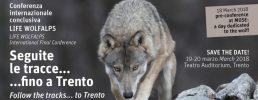 Il 18,19 e 20 marzo: Seguite le tracce del lupo... fino a Trento!