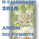 Il Calendario 2018 dei Parchi Alpi Cozie è dedicato agli anfibi