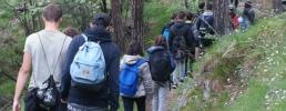 Programma escursioni nel Parco del Gran Bosco di Salbertrand