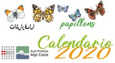 Dedicato alle Farfalle il celendario 2020 dei Parchi Alpi Cozie 