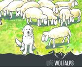 18 agosto 2017 - sul cammino degli allevatori e dei lupi