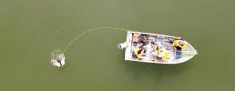 Progetto Life Predator: Terminato anche il monitoraggio ittico del Lago Grande di Avigliana