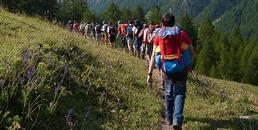 On line tutte le proposte didattiche dei Parchi Alpi Cozie