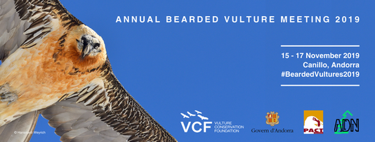 The Annual Bearded Vulture Meeting 2019